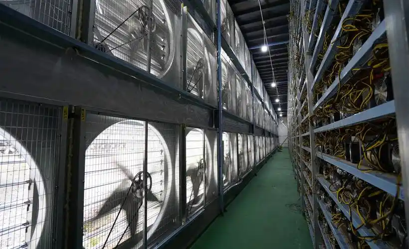 Efficient mining farm hosting multiple Kaspa rigs with advanced cooling