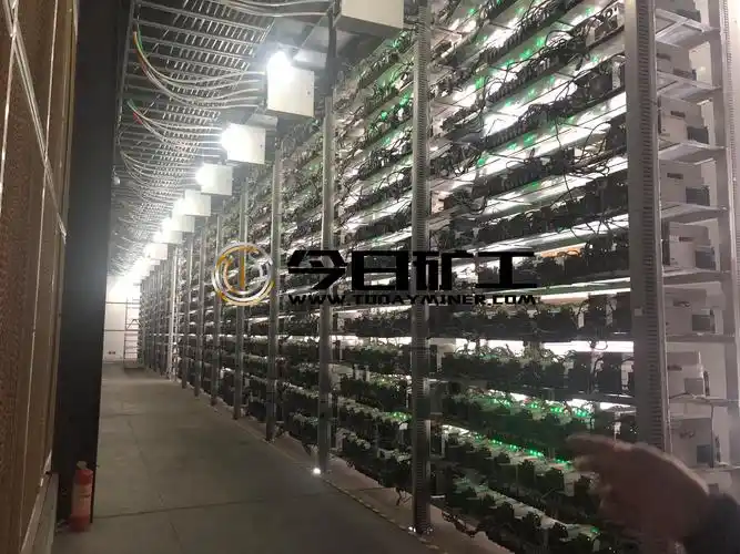 Expansive Bitcoin mining farm with rows of high-performance miners