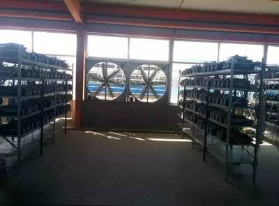 Kazakh mining farm combining ASIC and GPU rigs