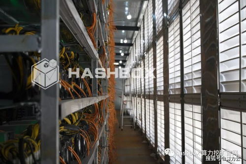 A high-performance mining rig