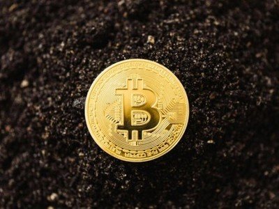 An advanced mining rig setup, illustrating the balance of power and efficiency in cryptocurrency extraction